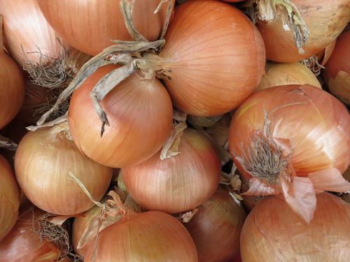 Какой лук-севок лучше сажать. Лук севок — название и описание лучших сортов (с отзывами садоводов)