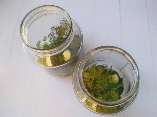 Какие ингредиенты нужны для приготовления сладких маринованных огурцов на зиму. Сладкие маринованные огурцы на зиму