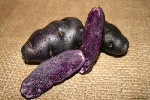 Сорта картофеля для пюре. 40 сортов картофеля для пюре, жарки, запекания и картошки фри 24