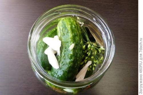 Можно ли добавить в маринад мед вместо сахара. Маринованные огурцы с медом