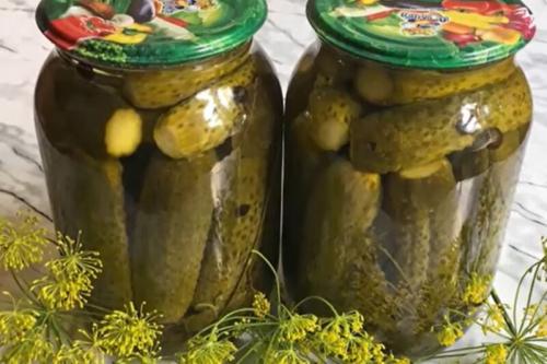 15 отличных рецептов маринада для огурцов на зиму. Хрустящие маринованные огурцы на зиму в банках — 10 самых вкусных рецептов, пальчики оближешь