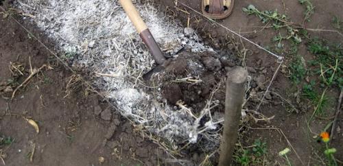 Огород готовим к зиме. Готовим сад к зиме 02