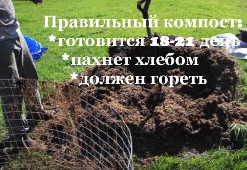 Природное земледелие подготовка огорода к зиме. ЗАКРЫТИЕ СЕЗОНА В ПРИРОДНОМ ЗЕМЛЕДЕЛИИ!