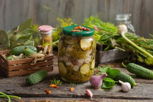 Можно ли использовать огурцы для приготовления салатов и соусов на зиму. 20 лучших салатов из огурцов с луком на зиму