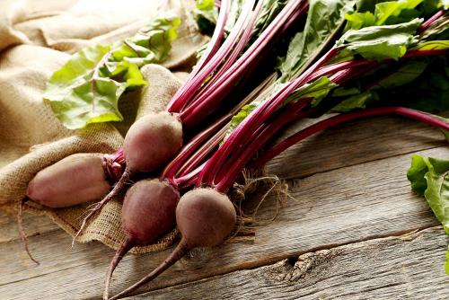 Боится ли свекла заморозков весной. Когда сажать свеклу семенами в открытый грунт