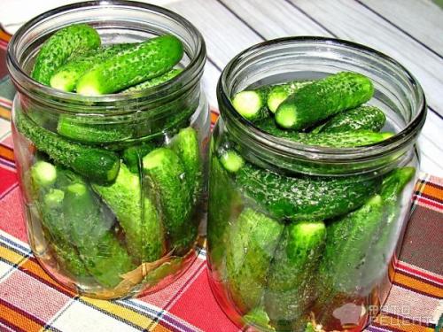 Можно ли мариновать КОРНИШОНЫ без стерилизации. Рецепт: Корнишоны консервированные - без стерилизации, в пол литровых банках