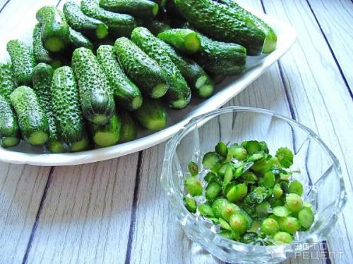 Можно ли мариновать КОРНИШОНЫ без стерилизации. Рецепт: Корнишоны консервированные - без стерилизации, в пол литровых банках