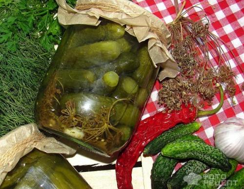 Можно ли мариновать КОРНИШОНЫ без стерилизации. Рецепт: Корнишоны консервированные - без стерилизации, в пол литровых банках