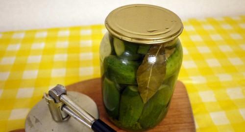 Какие ошибки чаще всего совершают начинающие при мариновании огурцов. 6 фатальных ошибок в мариновании огурцов на зиму