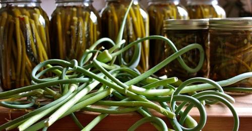 Можно ли хранить чеснок на балконе. Как хранить чеснок в домашних условиях — самые простые способы хранения