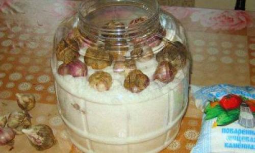 Как хранить чеснок в погребе. В свежем виде