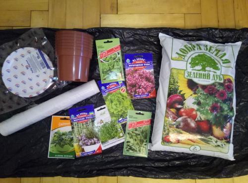 Можно ли вырастить эту траву дома. Как вырастить дома траву на подоконнике