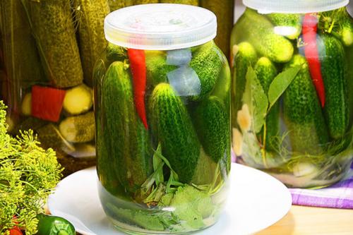 Быстрый и простой рецепт маринованных огурцов без закрутки 20 Быстрый и простой рецепт маринованных огурцов без закрутки 20