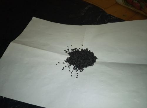 Можно ли вырастить эту траву дома. Как вырастить дома траву на подоконнике