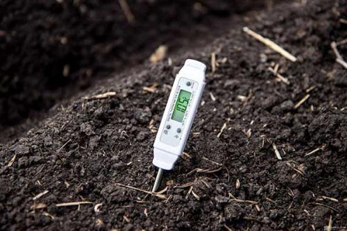 Когда сажать картошку в ростовской области. Когда сажать картофель в открытый грунт