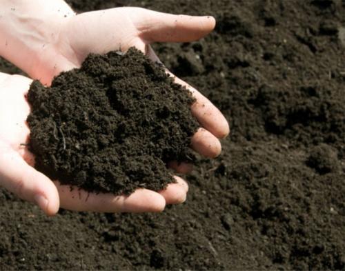 Как сажать картошку в ручную. Как и когда сажать картофель в открытый грунт, способы посадки