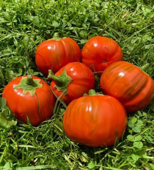 Диковинные овощи. Необычные сорта знакомых нам фруктов и овощей (15 фото)