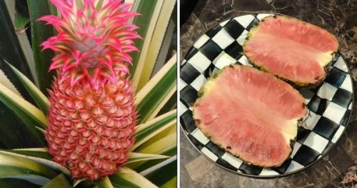 Диковинные овощи. Необычные сорта знакомых нам фруктов и овощей (15 фото)