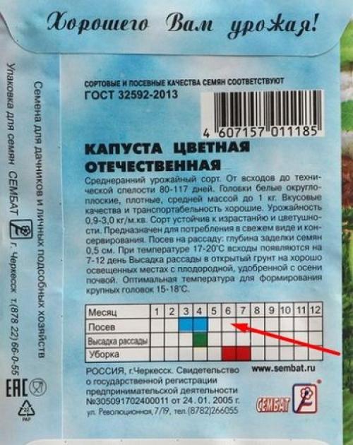 Как вырастить цветную капусту из семян. Когда сеять цветную капусту на рассаду: оптимальные сроки