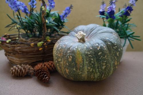 Тыква зеленая в полоску бывает. Сортовое разнообразие зеленой тыквы с описанием и фото 03