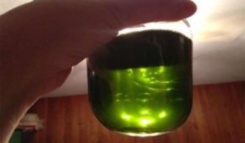 Как называется трава 'заткни гузно': раскрытие тайны 08 Как называется трава 'заткни гузно': раскрытие тайны 08