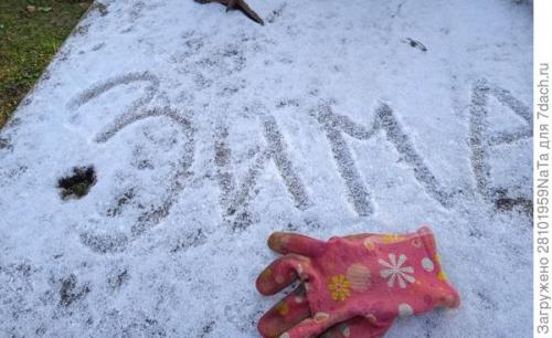 Морковь боится заморозков. Унылая осень, холода... вот и морковку сеять пора