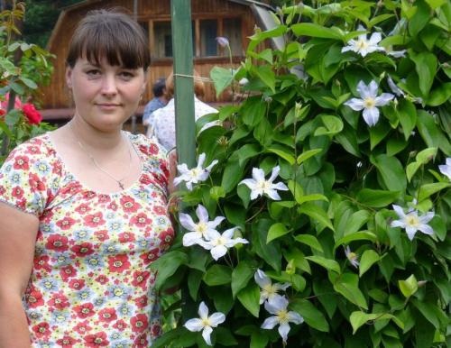 Клематис не проснулся после зимы. Если клематис не вышел весной 03