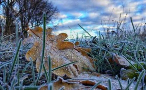 Какие растения в огороде заморозков не боятся. Какие бывают заморозки и как их предугадать 23 Какие растения в огороде заморозков не боятся. Какие бывают заморозки и как их предугадать 23