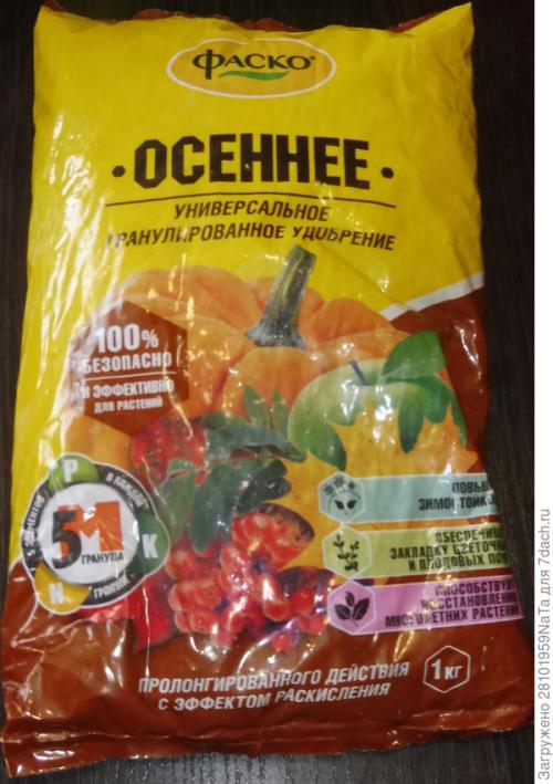 Морковь боится заморозков. Унылая осень, холода... вот и морковку сеять пора