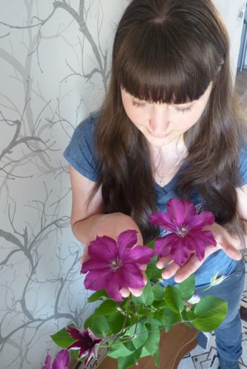 Клематис не проснулся после зимы. Если клематис не вышел весной 02