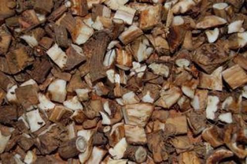 Лекарственное растение заткни гузно: народное средство для здоровья 01 Лекарственное растение заткни гузно: народное средство для здоровья 01