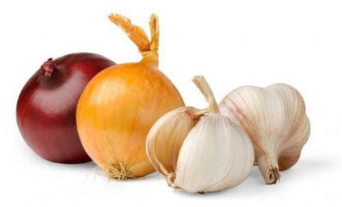 Как хранить чеснок в земле. 2 режима зимнего хранения