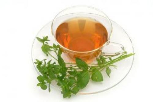 Какие конкретные заболевания суставов можно лечить с помощью мокрицы. Как правильно применять для лечения суставов