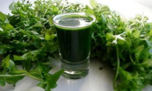 Какие конкретные заболевания суставов можно лечить с помощью мокрицы. Как правильно применять для лечения суставов