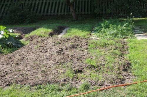 Огород на целине с чего начать. Огород на целине