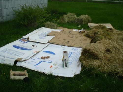 Огород на целине с чего начать. Огород на целине