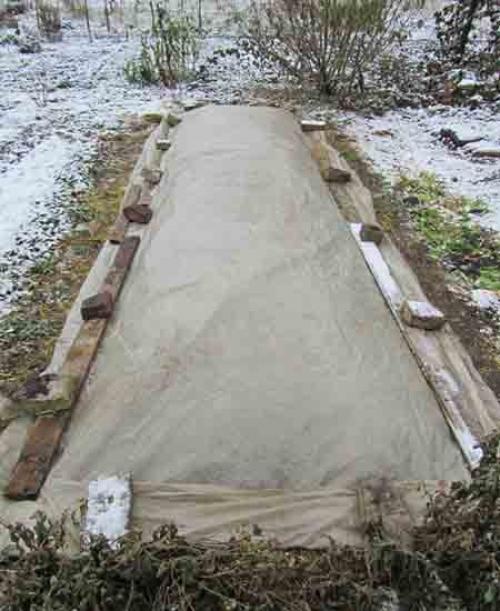 Посадка картофеля на зиму в украине. Посадка картофеля в лёгкую почву