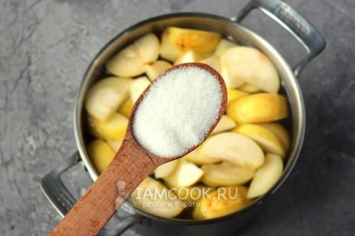 Успех в саду: яблоня дала первый урожай 14