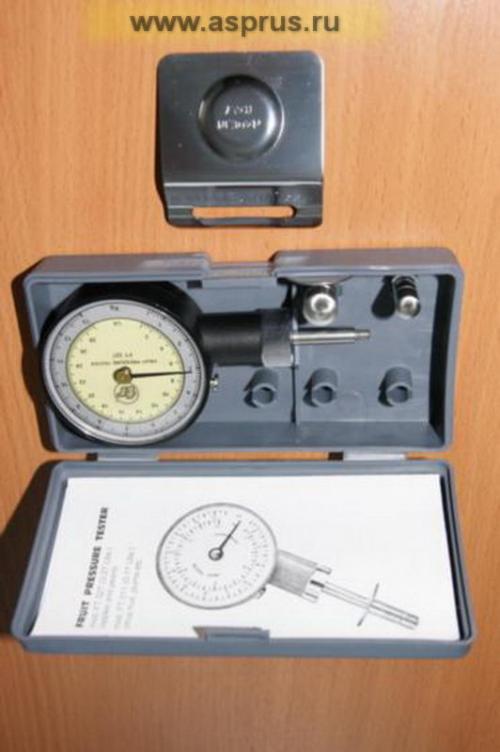 Как долго длится период созревания яблок. Методы и материалы