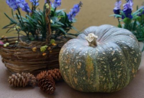 Тыква зеленая внутри. Сорта с фото и описанием тыквы зеленой: стоит ли покупать и выращивать полезные плоды