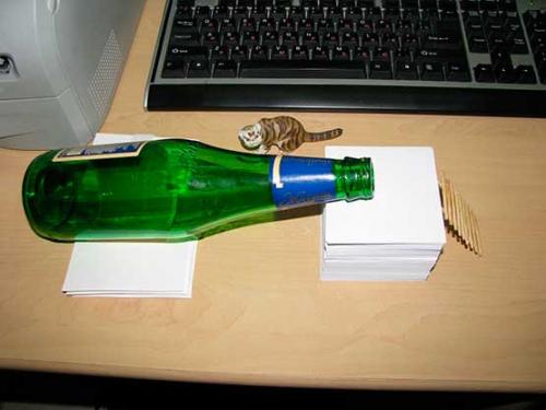 Мыши уйдут сами. Как избавиться от крыс и мышей в частном доме