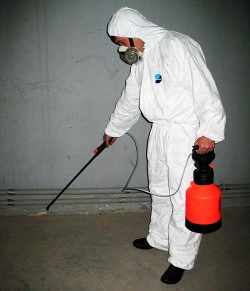 Мыши уйдут сами. Как избавиться от крыс и мышей в частном доме