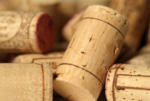 Как избавиться от крыс. Использование народных средств