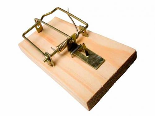 Мыши уйдут сами. Как избавиться от крыс и мышей в частном доме