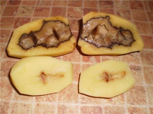 Как определить замерзла картошка или нет. Можно ли есть подмороженную картошку, опасна ли она и как это влияет на вкус