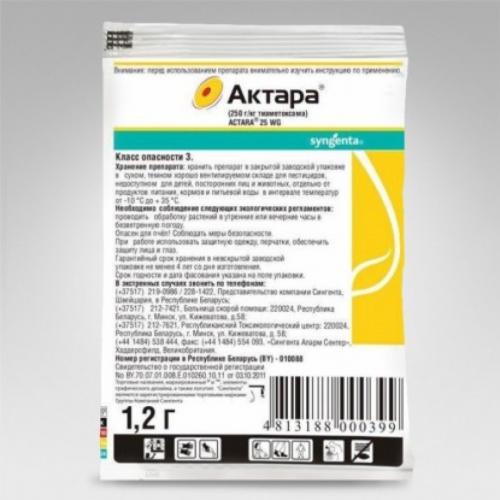 Слива почему мелкая. Отвечает эксперт. Слива: почему даёт мало плодов и что делать