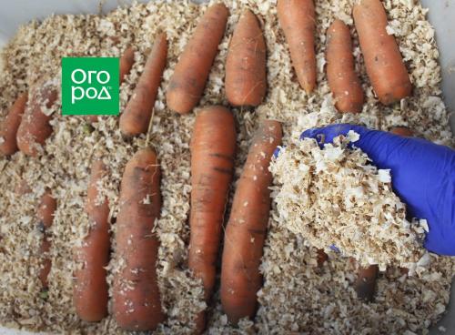 Как сохранить яблоки до весны: простые способы для долгого хранения 03 Как сохранить яблоки до весны: простые способы для долгого хранения 03