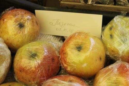 Можно ли использовать пленку или пакеты для хранения яблок и груш. Пищевая пленка: Хранение яблок (овощей и фруктов)