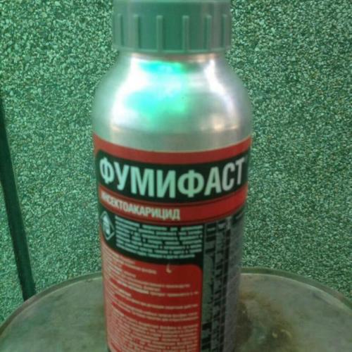 Как защитить дом от грызунов. Защита каркасного дома от грызунов ...