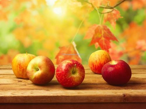 Как были собраны первые яблоки. История этого популярного фрукта древняя и полна легенд и преданий.